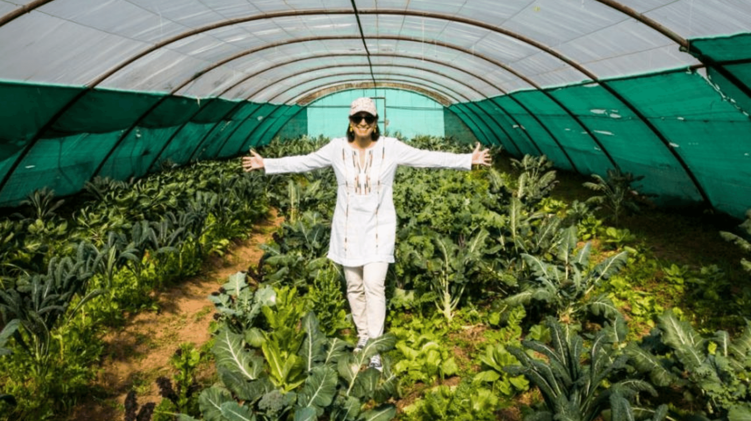 Sustainability Part III Organic Farming & Food PAR